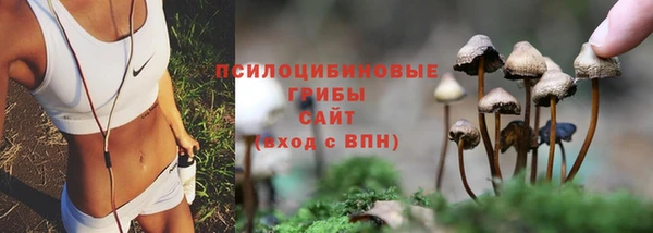 эйфоретик Аркадак