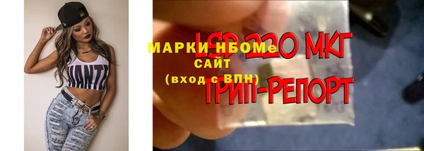эйфоретик Аркадак