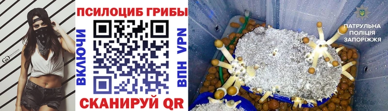 Псилоцибиновые грибы MAGIC MUSHROOMS  где найти   Малоархангельск 